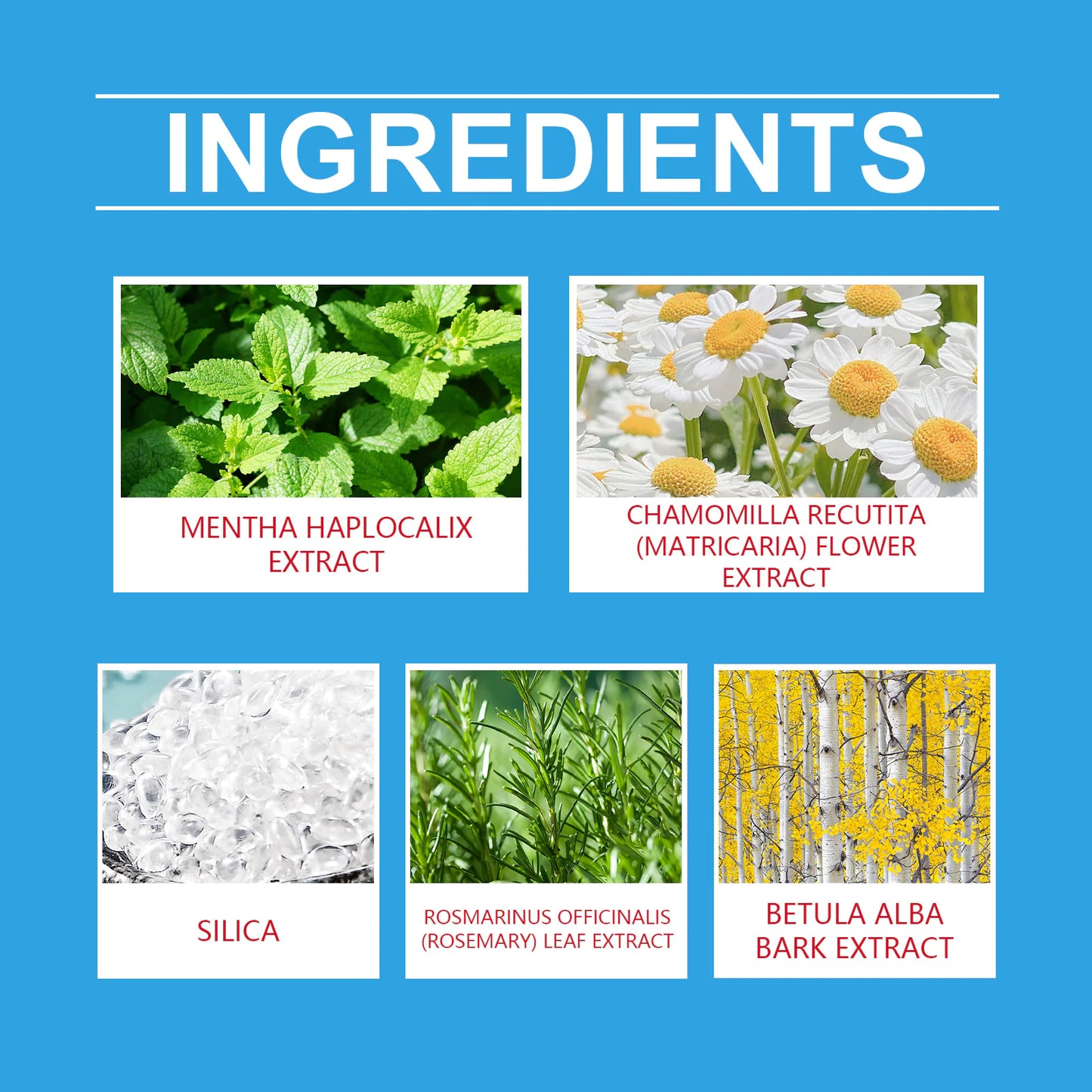 Natural Teeth Cleaning Powder